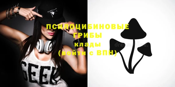 синтетический гашиш Алексеевка