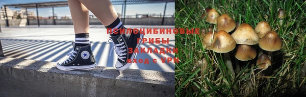 синтетический гашиш Алексеевка